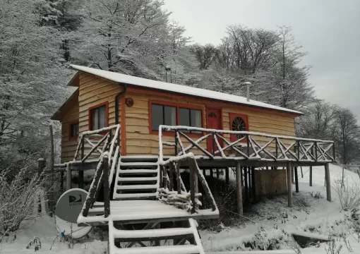 Cabin 4